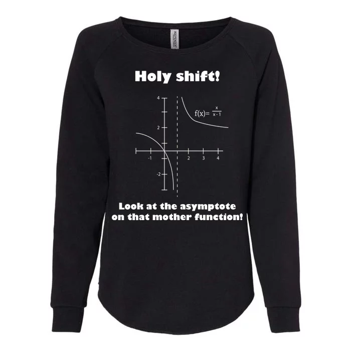 Holy Shift Look At The Asympotote On That Mother Function Womens California Wash Sweatshirt