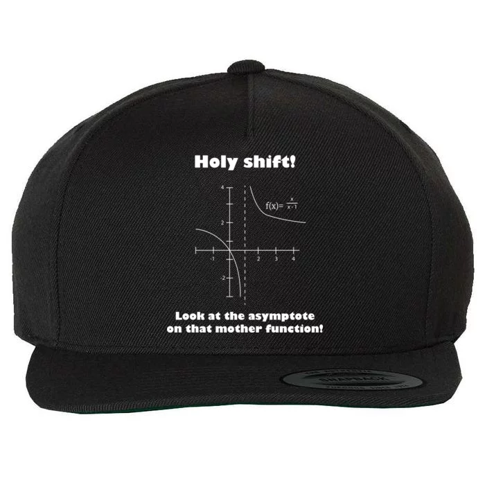 Holy Shift Look At The Asympotote On That Mother Function Wool Snapback Cap