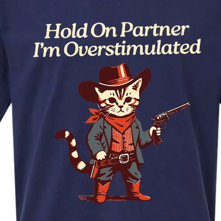 Hold On Partner IM Overstimulated Western Cat Cowboy Sueded Cloud Jersey T-Shirt