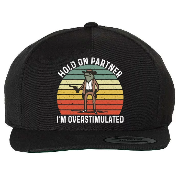 Hold On Partner IM Overstimulated Cowboy Frog Vintage Wool Snapback Cap