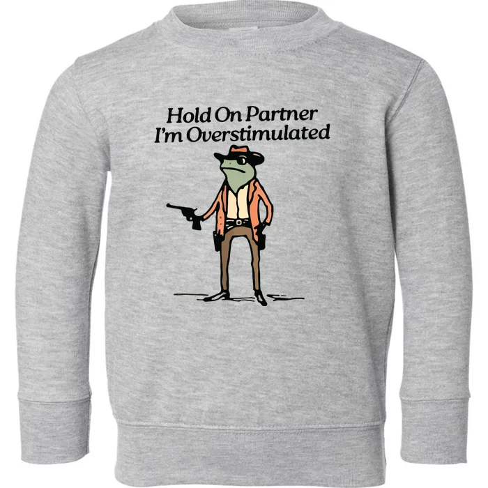 Hold On Partner IM Overstimulated Cowboy Frog Vintage Toddler Sweatshirt