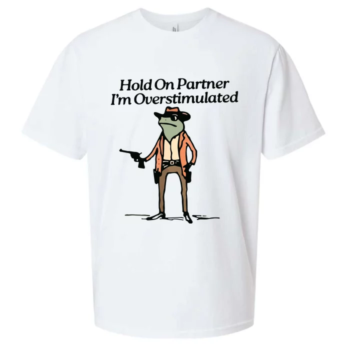 Hold On Partner IM Overstimulated Cowboy Frog Vintage Sueded Cloud Jersey T-Shirt