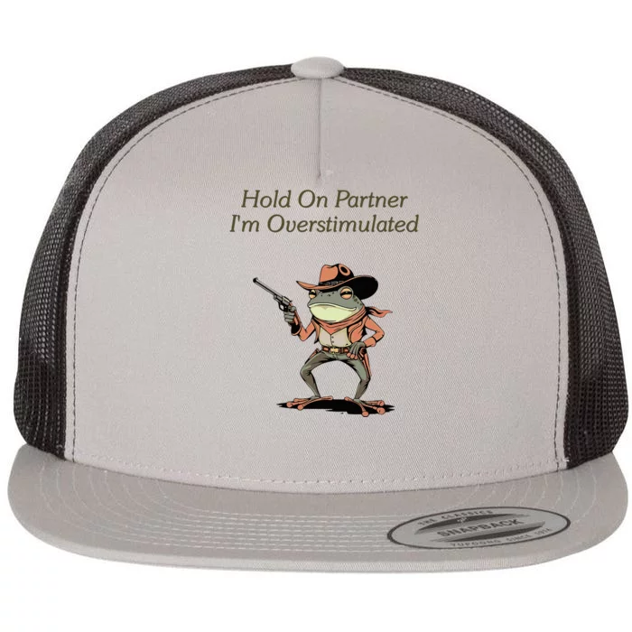 Hold On Partner IM Overstimulated Frog Flat Bill Trucker Hat