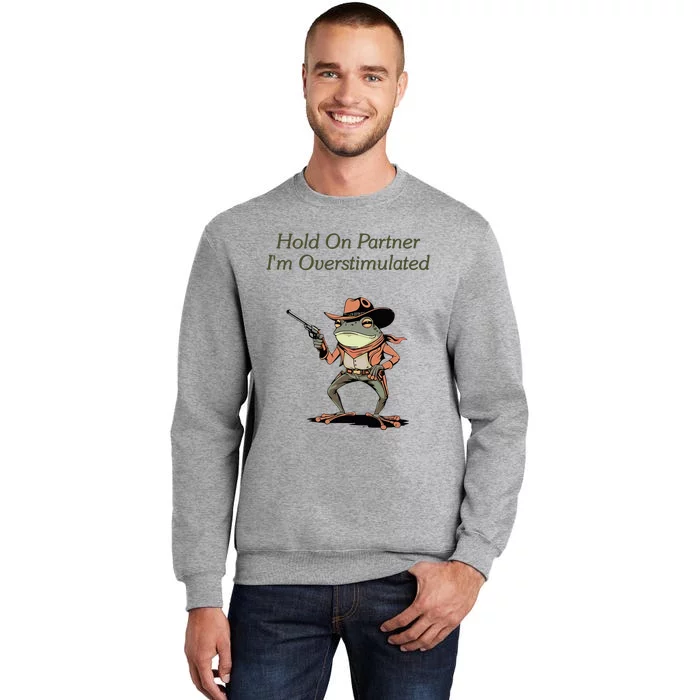 Hold On Partner IM Overstimulated Frog Sweatshirt