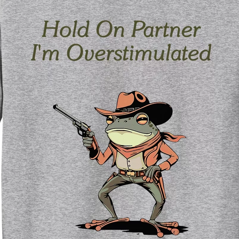 Hold On Partner IM Overstimulated Frog Sweatshirt