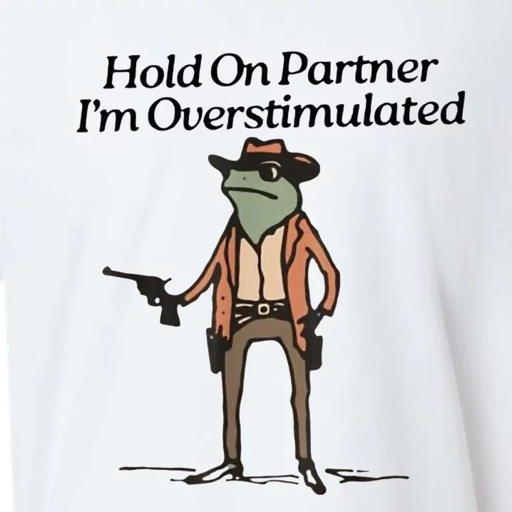 Hold On Partner IM Overstimulated Cowboy Frog Sueded Cloud Jersey T-Shirt