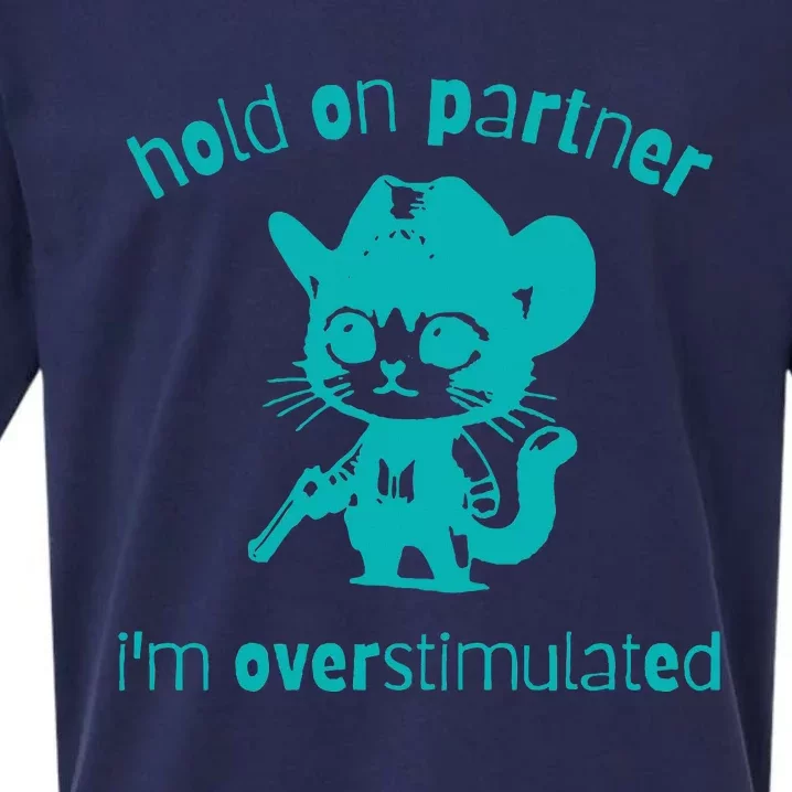 Hold On Partner IM Overstimulated Cat Sueded Cloud Jersey T-Shirt