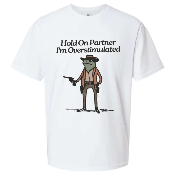 Hold On Partner IM Overstimulated Cowboy Frog Vintage Sueded Cloud Jersey T-Shirt