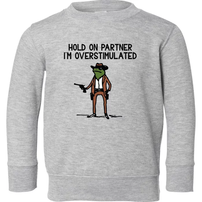 Hold On Partner IM Overstimulated Cowboy Frog Funny Toddler Sweatshirt