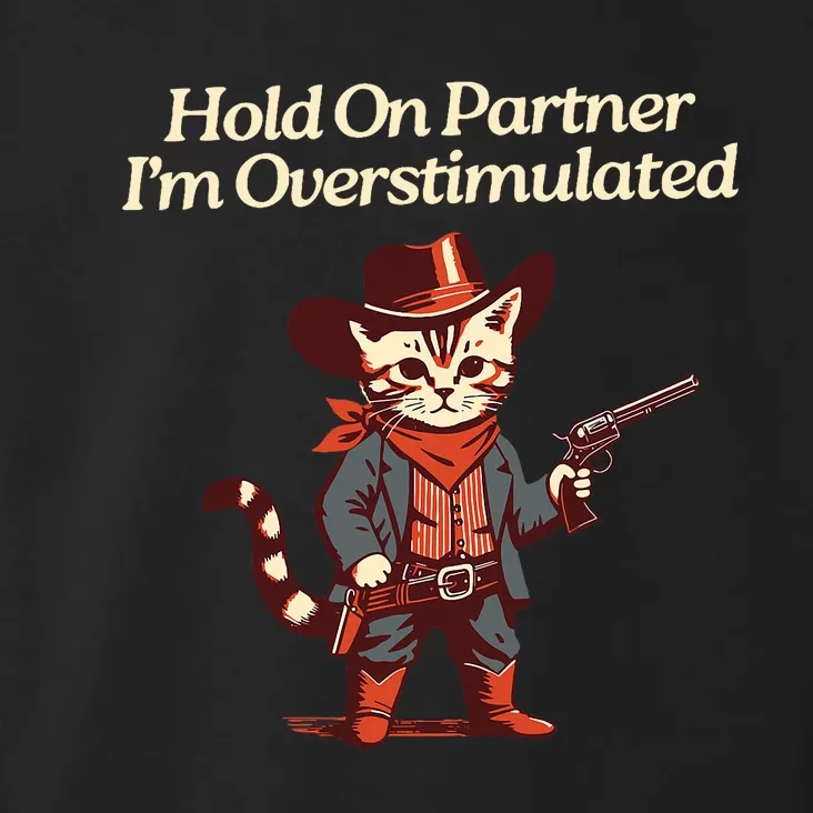 Hold On Partner IM Overstimulated Western Cat Cowboy Toddler Hoodie