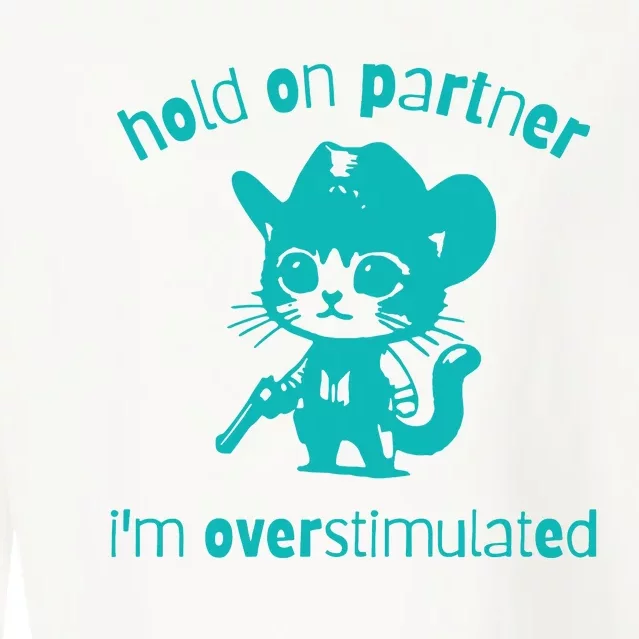 Hold On Partner Im Overstimulated Cat Cropped Pullover Crew