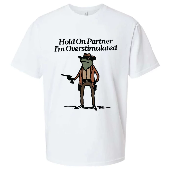 Hold On Partner Im Overstimulated Cowboy Frog Vintage Sueded Cloud Jersey T-Shirt