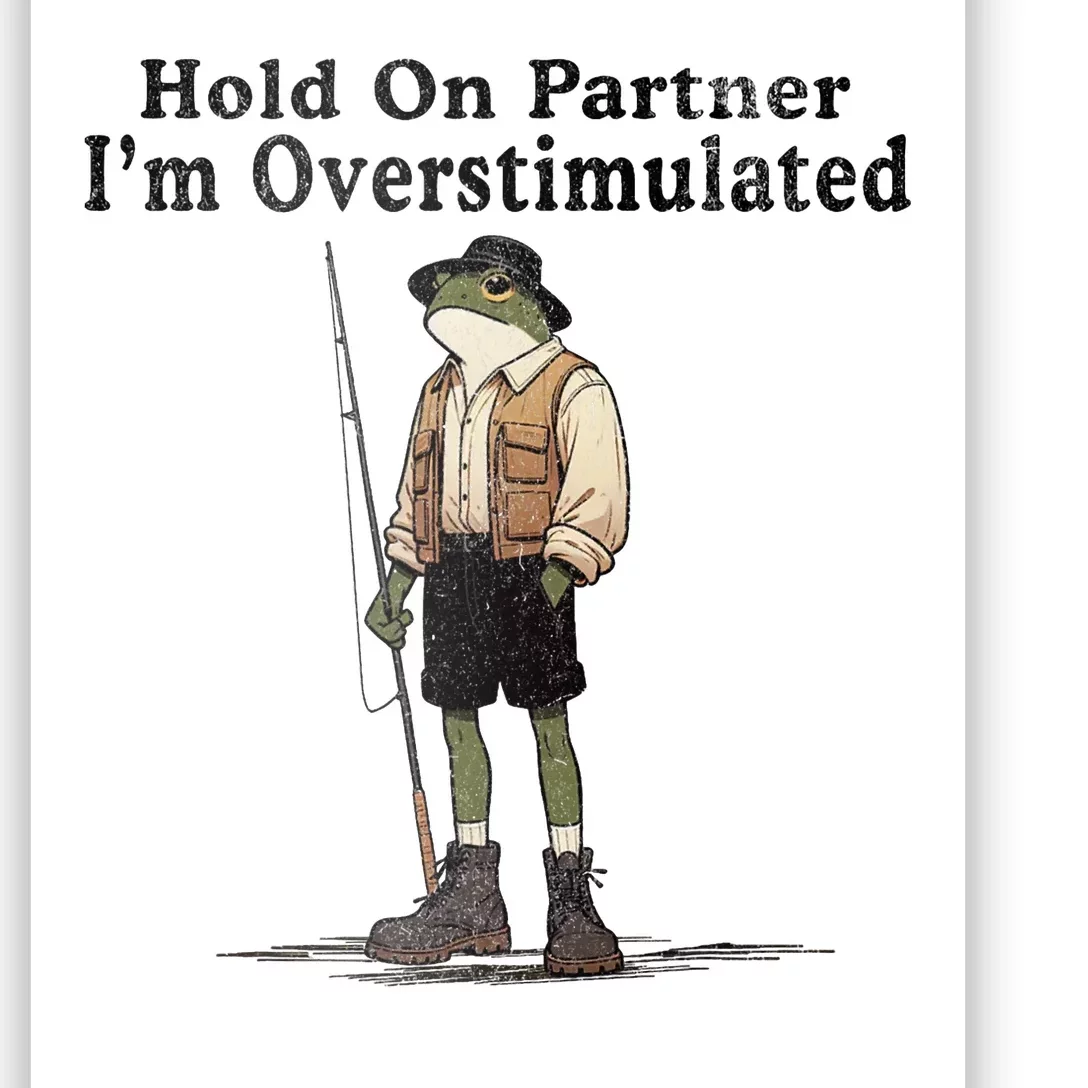 Hold On Partner IM Overstimulated Funny Frog Fishing Humor Poster