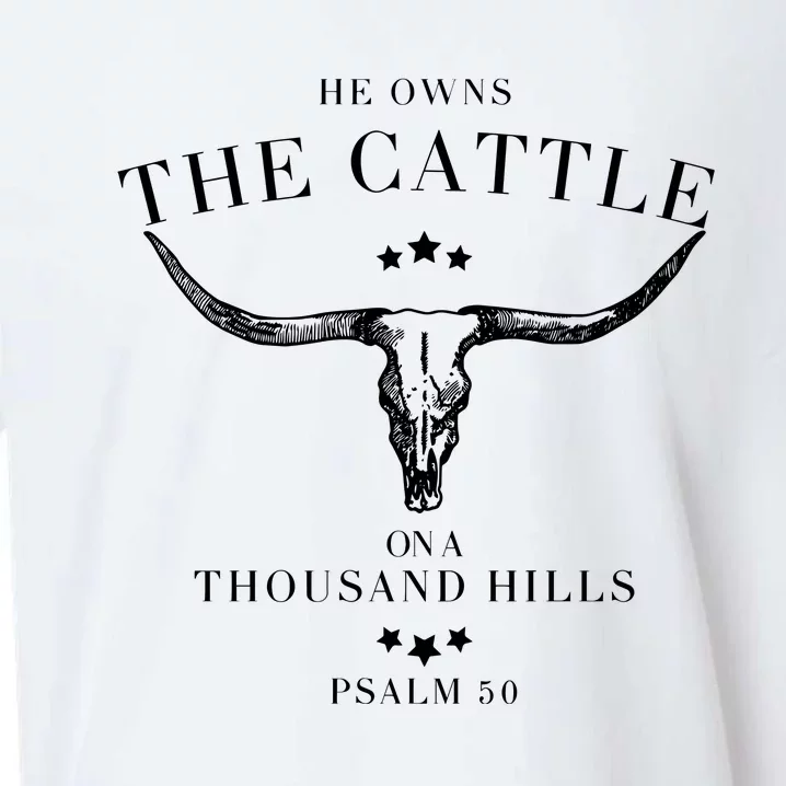 He Owns The Cattle On A Thousand Hills Sueded Cloud Jersey T-Shirt