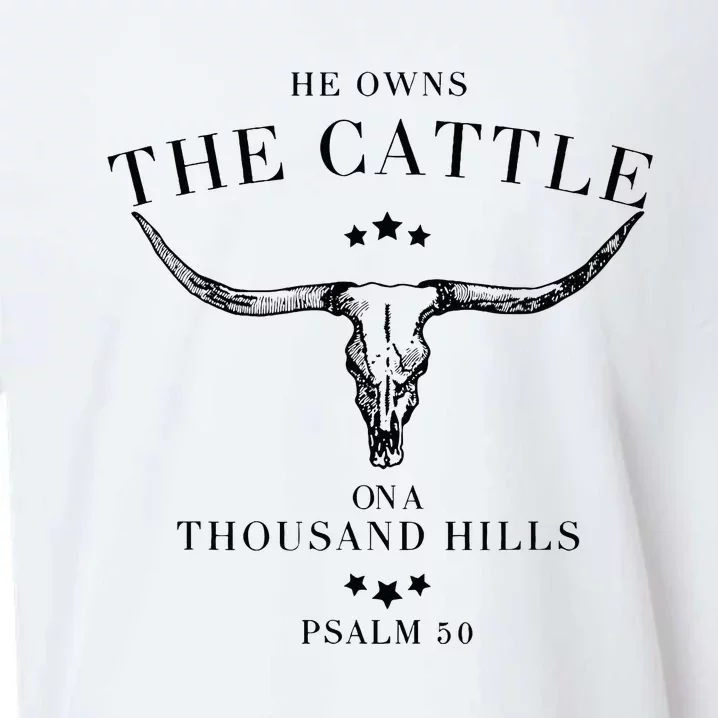 He Owns The Cattle On A Thousand Hills Sueded Cloud Jersey T-Shirt