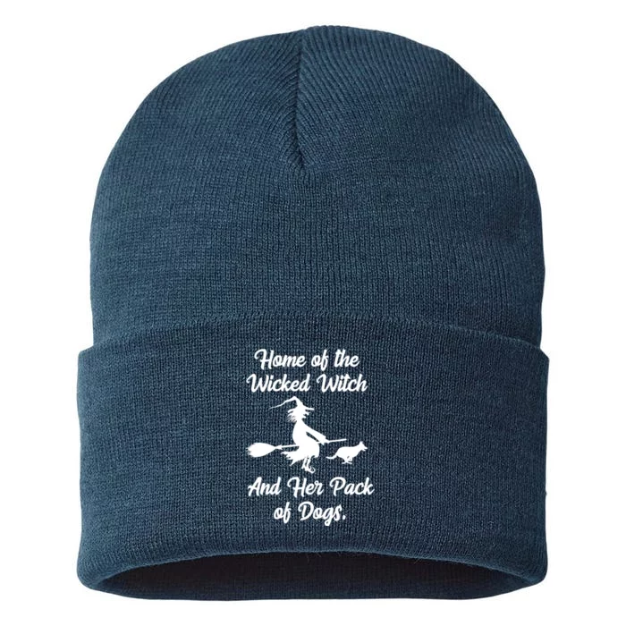 Home Of The Wicked Witch And Her Pack Of Dogs Funny Sustainable Knit Beanie