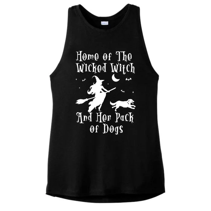 Home Of The Wicked Witch And Her Pack Of Dog Funny Halloween Gift Ladies Tri-Blend Wicking Tank