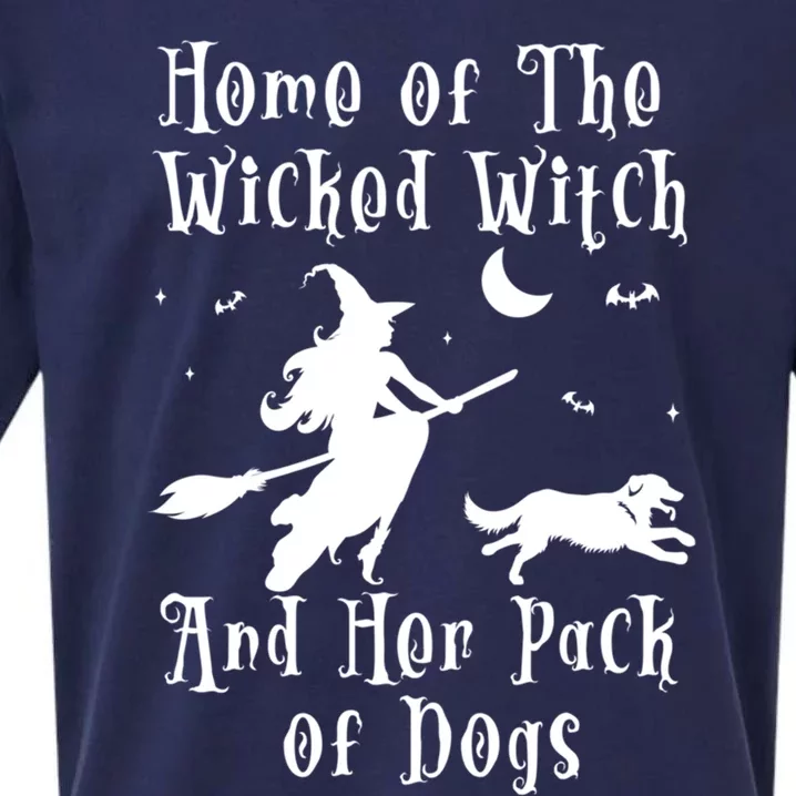 Home Of The Wicked Witch And Her Pack Of Dog Funny Halloween Gift Sueded Cloud Jersey T-Shirt