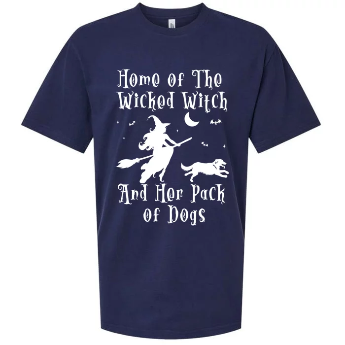 Home Of The Wicked Witch And Her Pack Of Dog Funny Halloween Gift Sueded Cloud Jersey T-Shirt