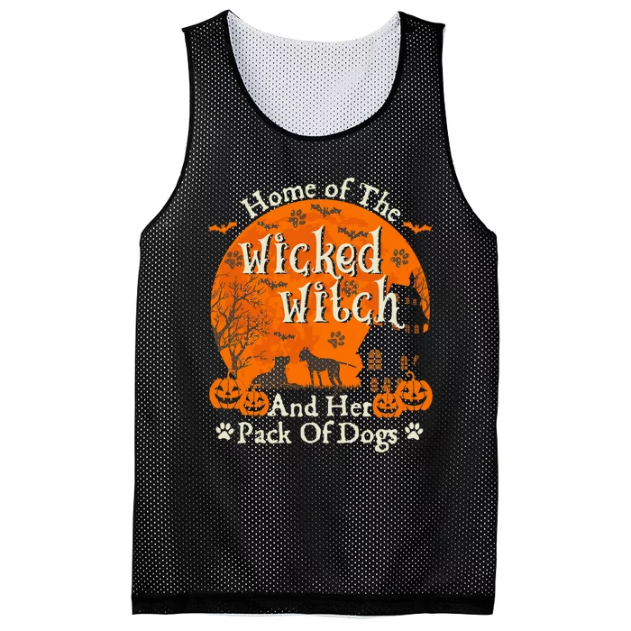 Home Of The Wicked Witch And Her Pack Of Dog Funny Halloween Mesh Reversible Basketball Jersey Tank