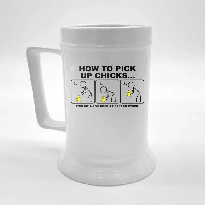 How To Pick Up Doing It Wrong Front & Back Beer Stein