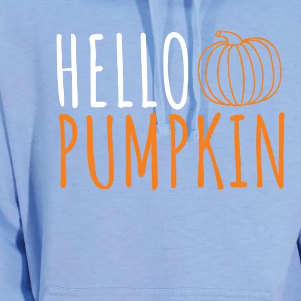 Hello Pumpkin Cute Fall Autumn Pumpkin Spice Gift Unisex Surf Hoodie