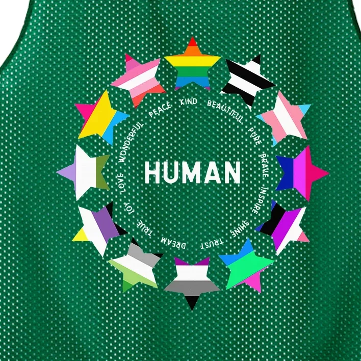 Human Pride Design Human Lgbtq Flag Mesh Reversible Basketball Jersey Tank