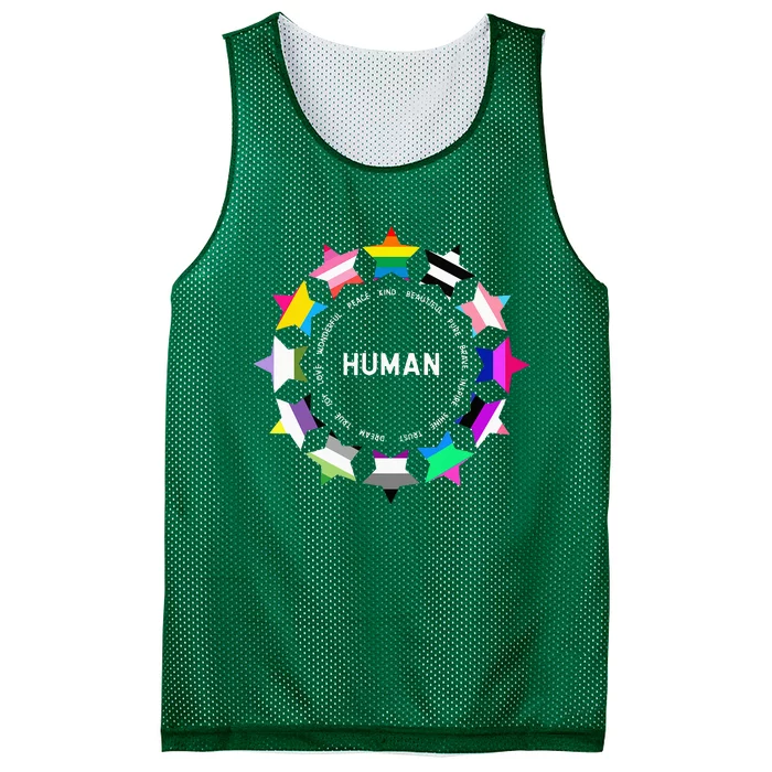 Human Pride Design Human Lgbtq Flag Mesh Reversible Basketball Jersey Tank