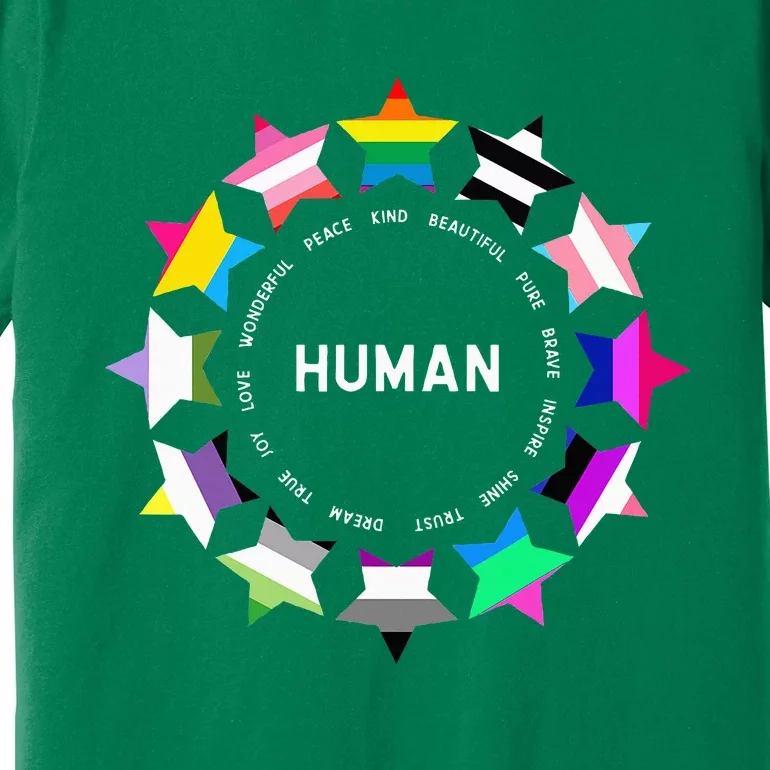 Human Pride Design Human Lgbtq Flag Premium T-Shirt