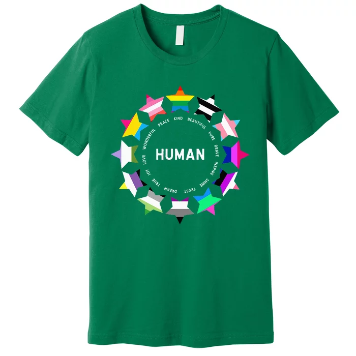 Human Pride Design Human Lgbtq Flag Premium T-Shirt