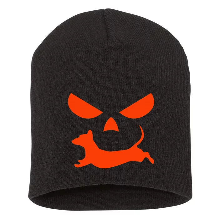 Halloween Pumpkin Face Dachshund Short Acrylic Beanie