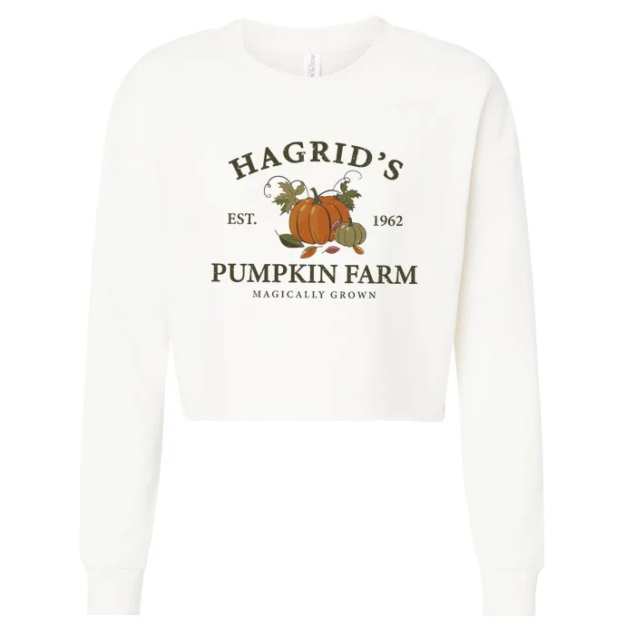 HagdridS Pumpkin Farm Cropped Pullover Crew