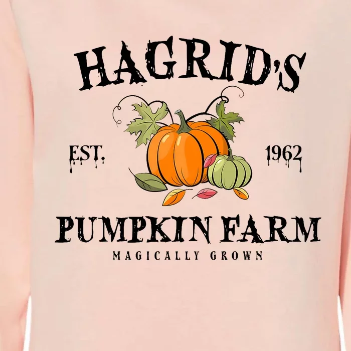 HagridS Pumpkin Farm Fall Autumn Pumpkin Garden Womens California Wash Sweatshirt