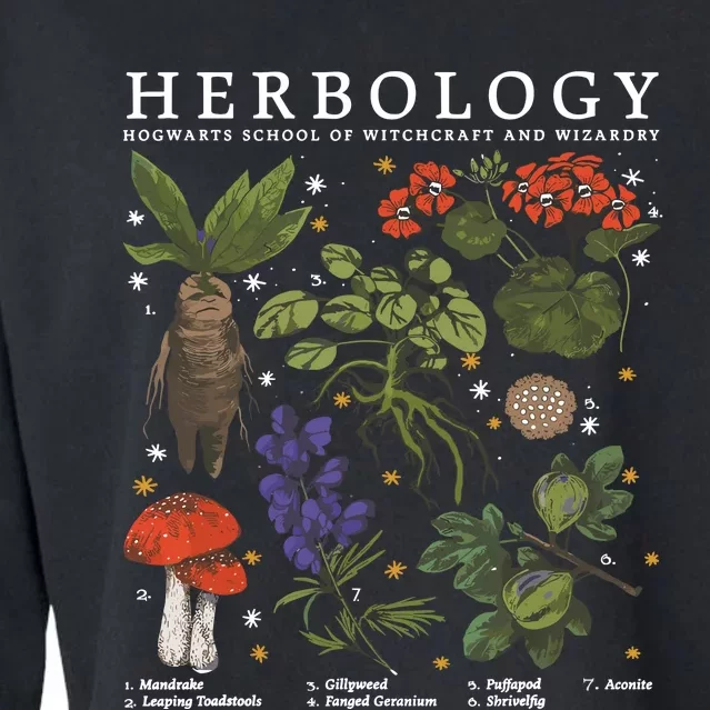 Herbology Plants Cropped Pullover Crew