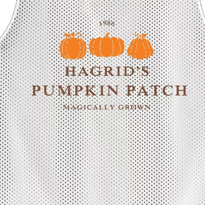 Hagrid Pumpkin Patch Kids Halloween Mesh Reversible Basketball Jersey Tank