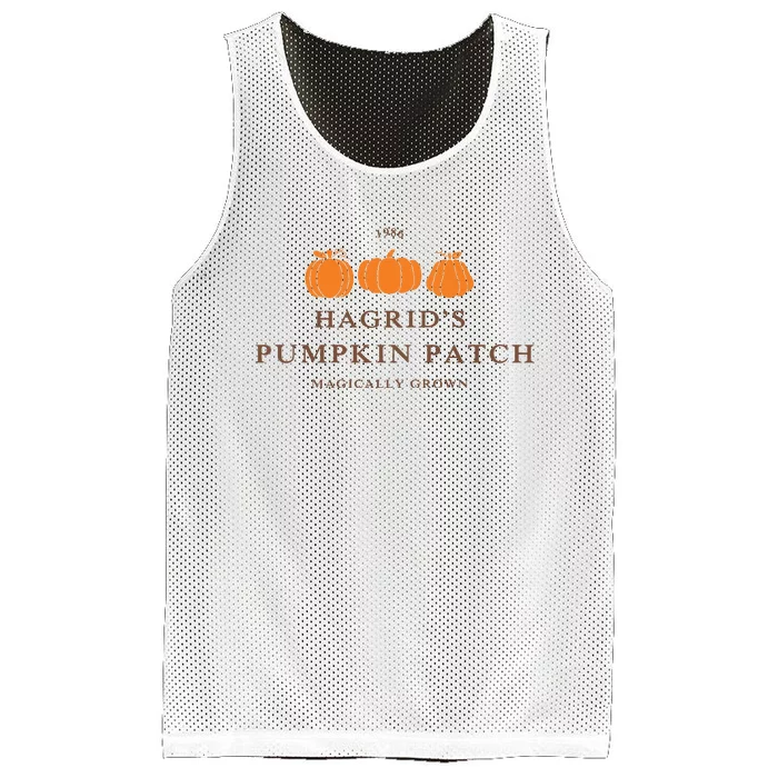 Hagrid Pumpkin Patch Kids Halloween Mesh Reversible Basketball Jersey Tank