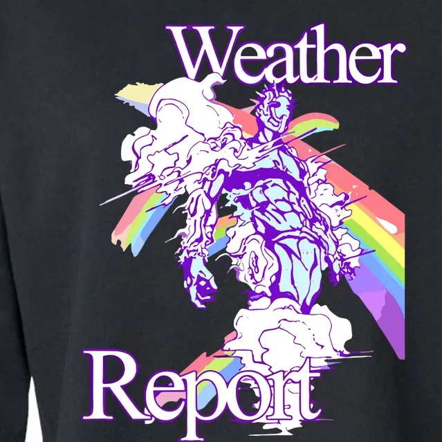 Hoshi Pieces Weather Report Jojos Cropped Pullover Crew