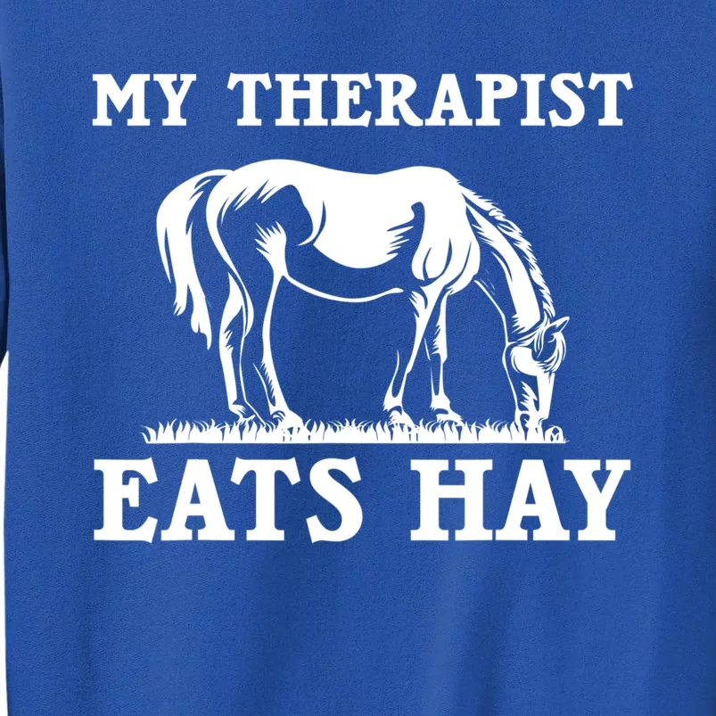 Horse Quotes My Therapist Eats Hay Grazing Horse Equestrian Funny Gift Sweatshirt