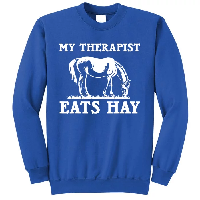 Horse Quotes My Therapist Eats Hay Grazing Horse Equestrian Funny Gift Sweatshirt