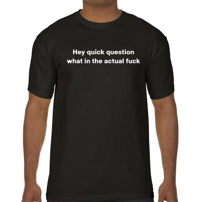 Hey Quick Question What In The Actual Fuck Comfort Colors T-Shirt