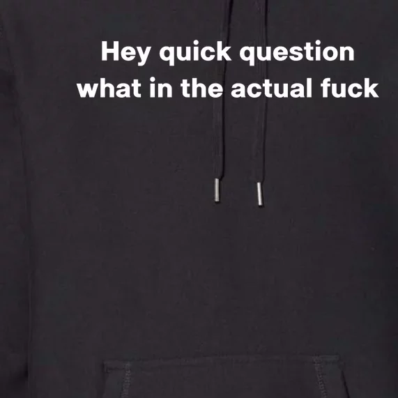 Hey Quick Question What In The Actual Fuck Premium Hoodie