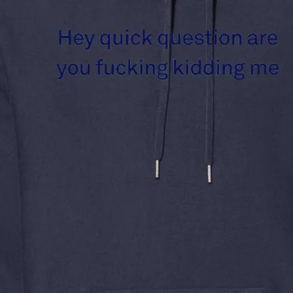 Hey Quick Question Are You Fcking Kidding Me Funny Premium Hoodie