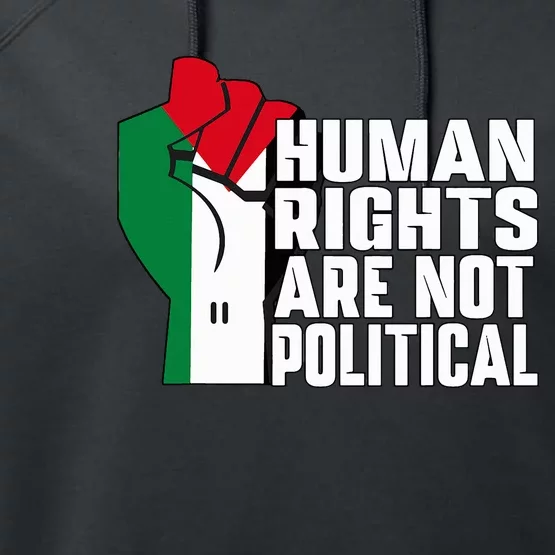 Human Rights Are Not Political Support Palestine and Gaza Performance Fleece Hoodie