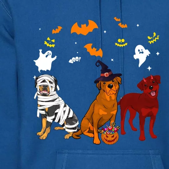 Halloween Rottweilers Dogs Lovers Mummy Witch Demon Costumes Funny Gift Premium Hoodie