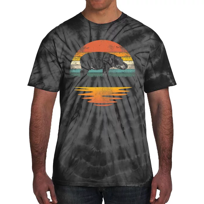 Hippo Retro Sunset Hippo Lover Tie-Dye T-Shirt