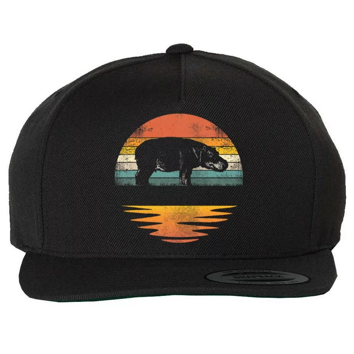 Hippo Retro Sunset Hippo Lover Wool Snapback Cap