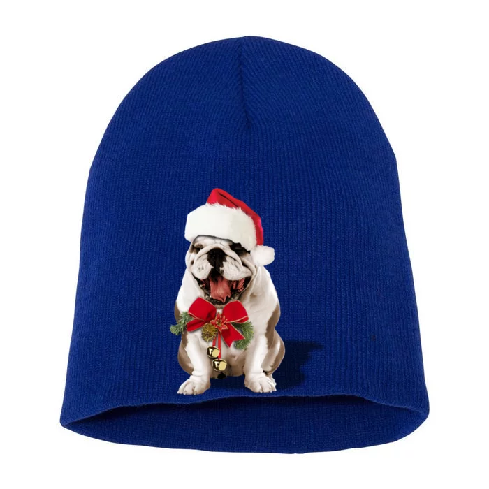 Hybrid Santa Bulldog Christmas Cute Gift Cute Gift Short Acrylic Beanie