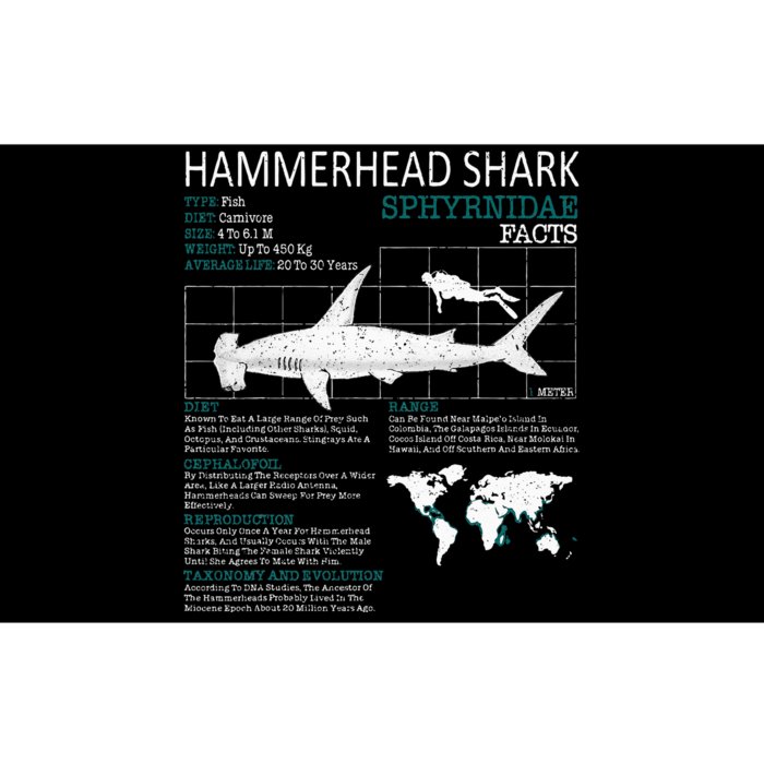 Hammerhead Shark Facts Shark Funny Lover Gift Bumper Sticker