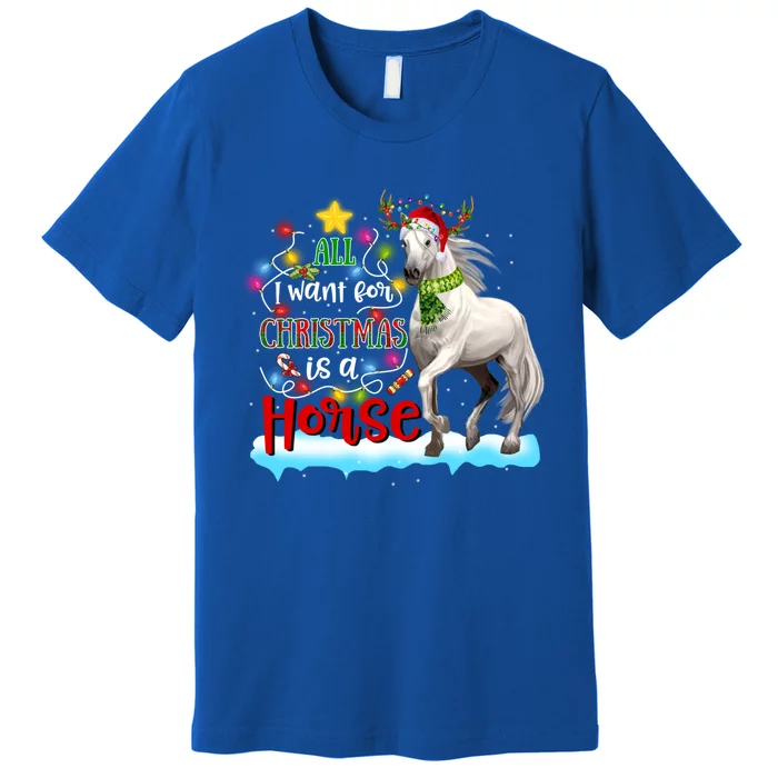 Horse Santa Hat Reindeer All I Want For Christmas Is A Horse Cute Gift Premium T-Shirt