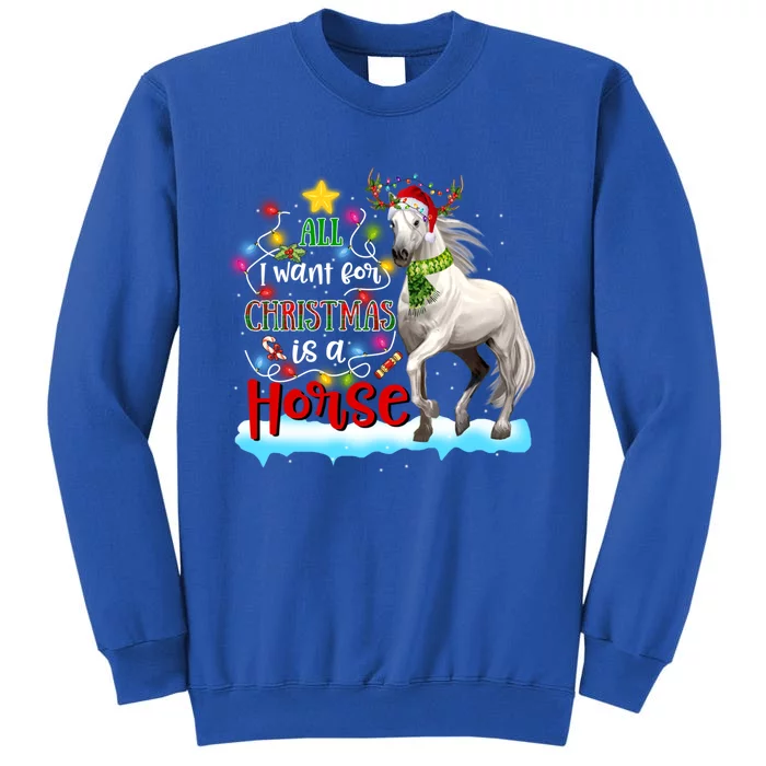 Horse Santa Hat Reindeer All I Want For Christmas Is A Horse Cute Gift Tall Sweatshirt